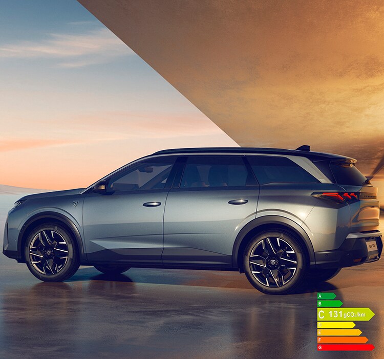 Пежо 5008 Размер Шин